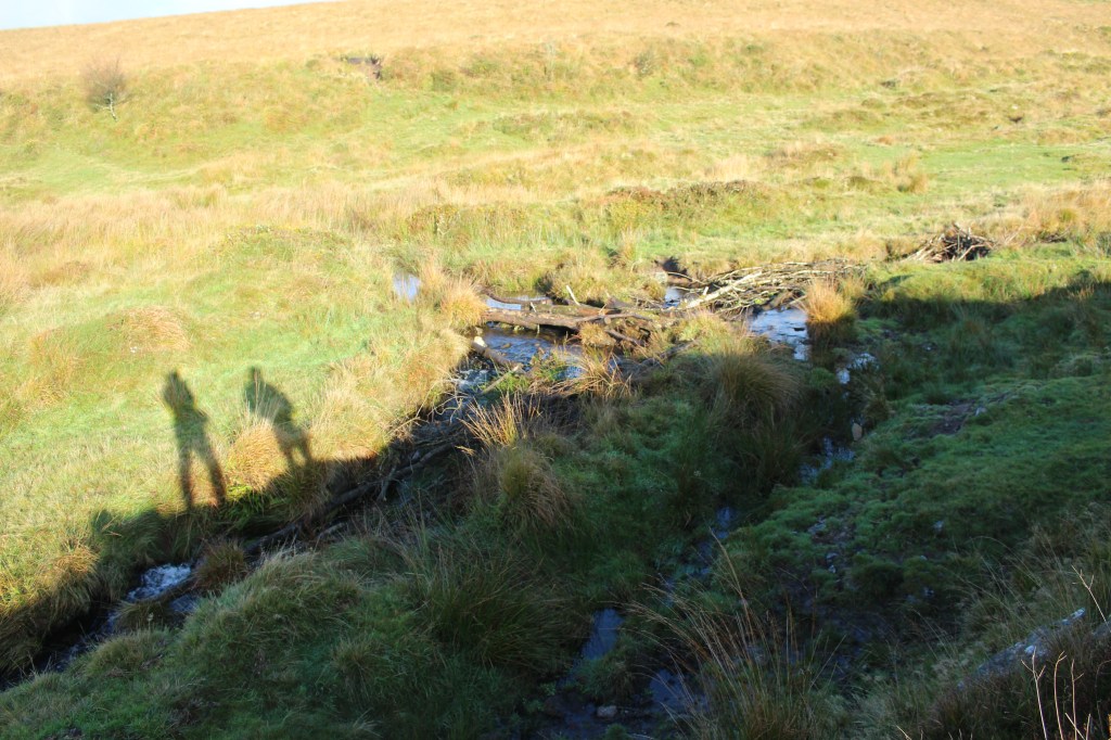 Shadows of two people standing on grassland near a stream, surrounded by patches of vegetation and a hilly landscape.